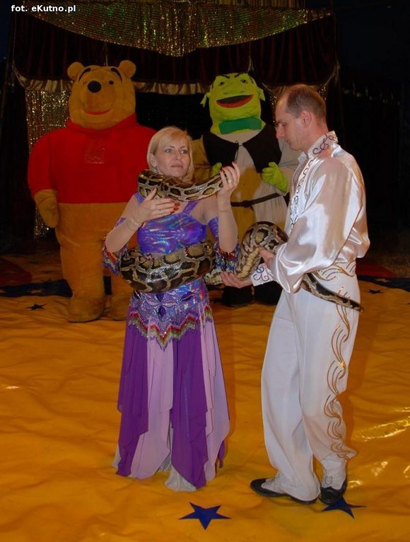  MAGICZNY ŚWIAT CYRKU  ARLEKIN już dziś w Kutnie