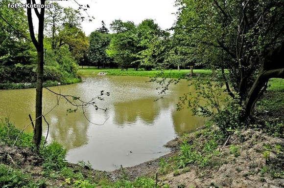 Wizytówka Gminy Kutno - Park w Leszczynku