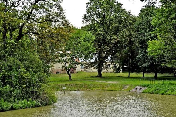 Wizytówka Gminy Kutno - Park w Leszczynku