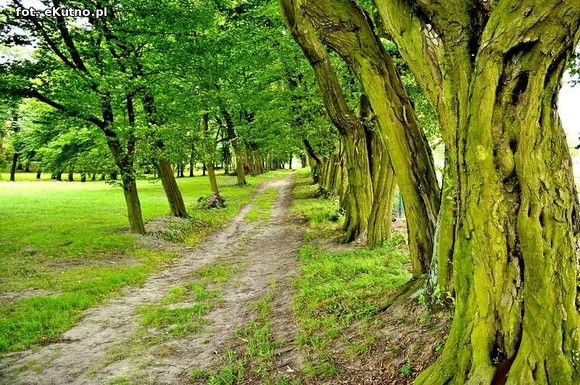 Wizytówka Gminy Kutno - Park w Leszczynku