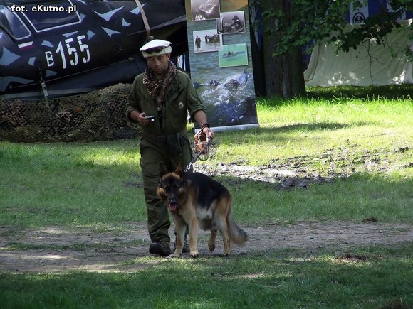 Podziękowania Stowarzyszenia Historycznego Pułk 37