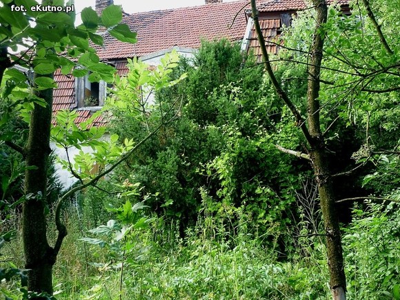 Szlakiem zaniedbanych zabytków powiatu kutnowskiego, odc. 8 - Kaszewy Dworne