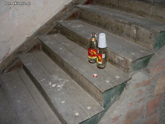 Szlakiem zaniedbanych zabytków powiatu kutnowskiego, odc. 8 - Kaszewy Dworne