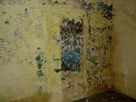 Szlakiem zaniedbanych zabytków powiatu kutnowskiego, odc. 8 - Kaszewy Dworne