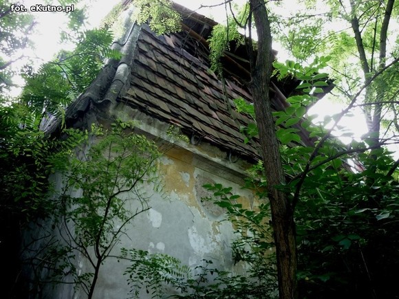 Szlakiem zaniedbanych zabytków powiatu kutnowskiego, odc. 8 - Kaszewy Dworne