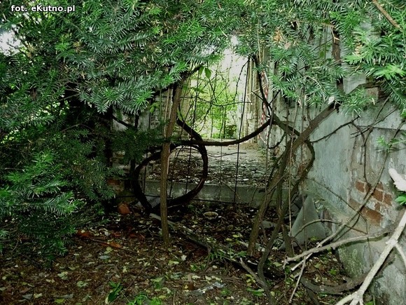 Szlakiem zaniedbanych zabytków powiatu kutnowskiego, odc. 8 - Kaszewy Dworne