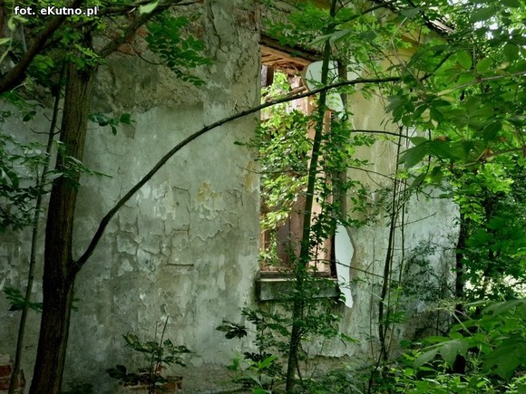 Szlakiem zaniedbanych zabytków powiatu kutnowskiego, odc. 8 - Kaszewy Dworne