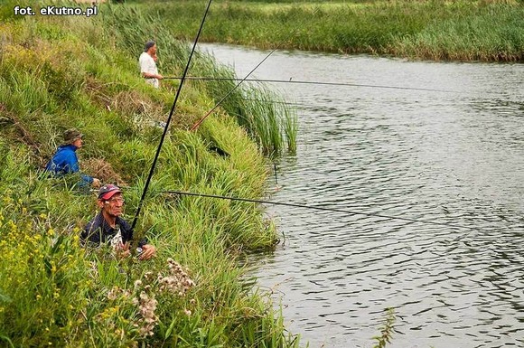 36 spławikowe mistrzostwa Koła Metalurg Kutno