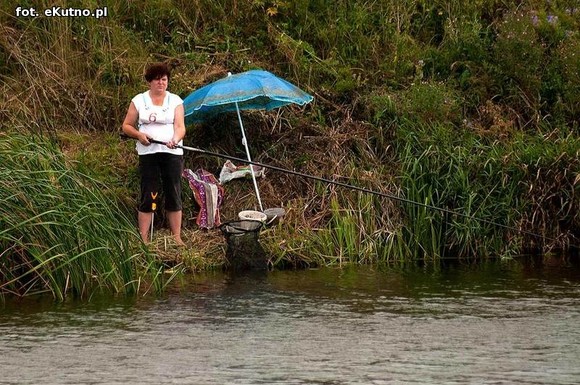 36 spławikowe mistrzostwa Koła Metalurg Kutno