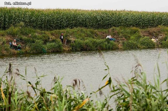 36 spławikowe mistrzostwa Koła Metalurg Kutno