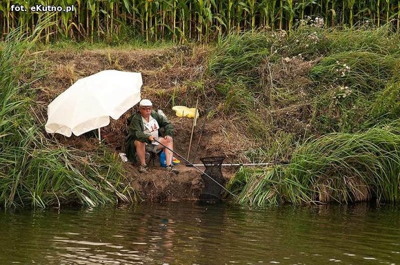 36 spławikowe mistrzostwa Koła Metalurg Kutno