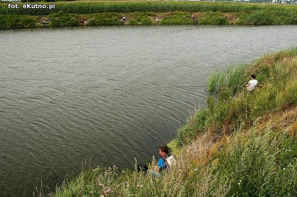 36 spławikowe mistrzostwa Koła Metalurg Kutno