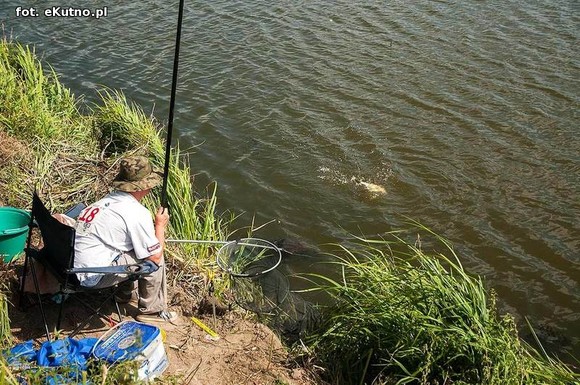 36 spławikowe mistrzostwa Koła Metalurg Kutno