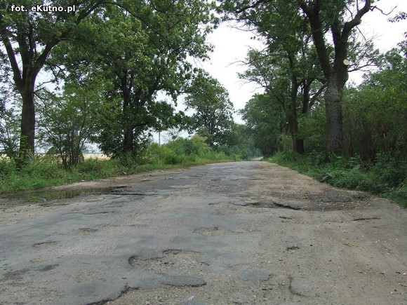 Droga z Karolewa do Łaniąt jak sito