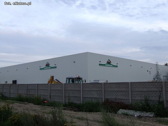 Pini Hamburger za dwa tygodnie? Lampre, Profilpas i Serioplast przygotowują się do produkcji