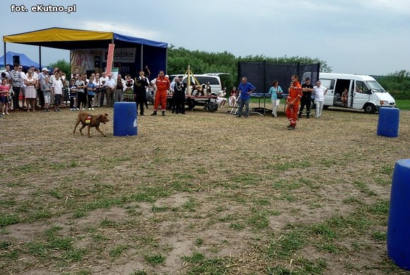 Ordery, ratownicy powietrzni i czworonożni. Szacowny jubileusz strażaków z Woli Kałkowej