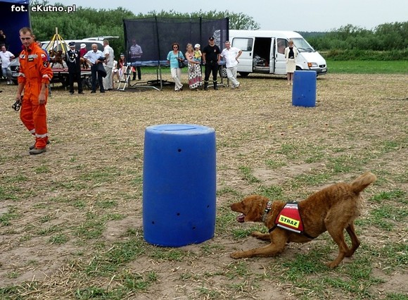 Ordery, ratownicy powietrzni i czworonożni. Szacowny jubileusz strażaków z Woli Kałkowej