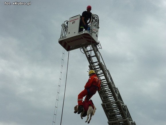 Ordery, ratownicy powietrzni i czworonożni. Szacowny jubileusz strażaków z Woli Kałkowej