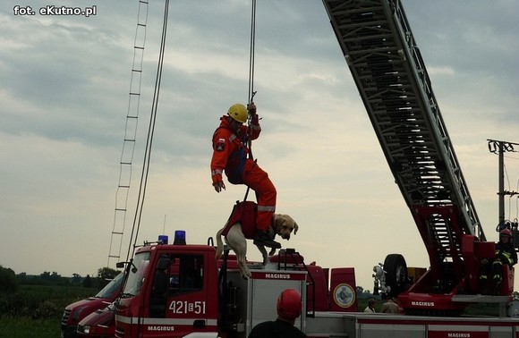 Ordery, ratownicy powietrzni i czworonożni. Szacowny jubileusz strażaków z Woli Kałkowej