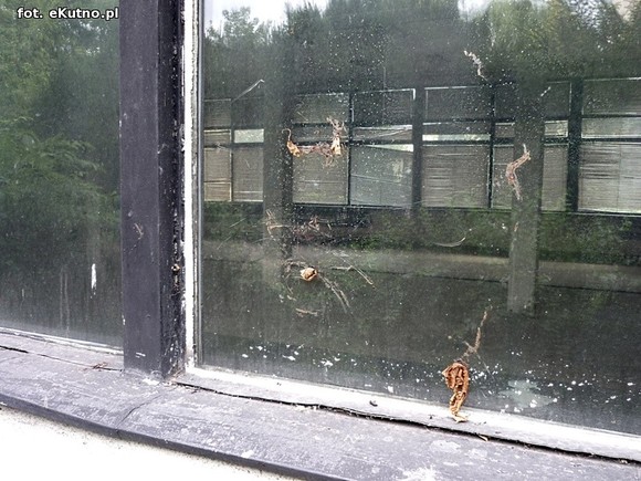 Jest ktoś chętny na PZU?