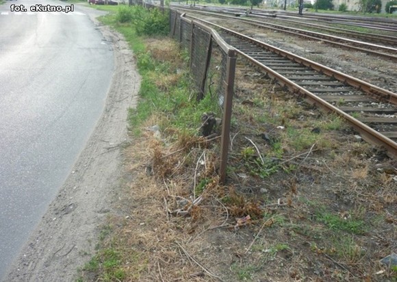 Mieszkańcy czekają na bezpieczne przejście.  Radna interpeluje, magistrat odwleka