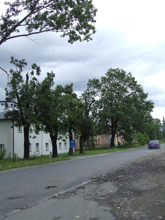 Mieszkańcy czekają na bezpieczne przejście.  Radna interpeluje, magistrat odwleka