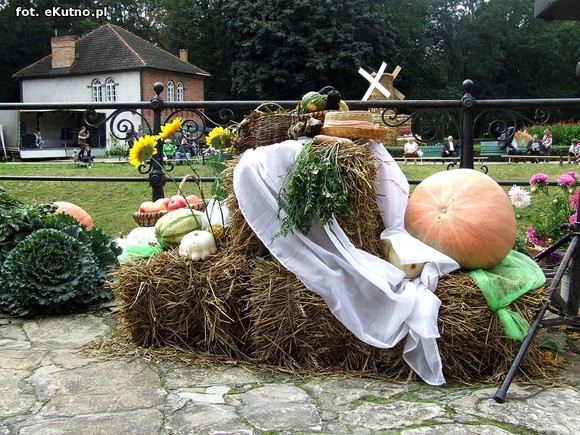 Na Polski imię, na Jej cześć podnosim czoła dumne. Święto Plonów w Oporowie