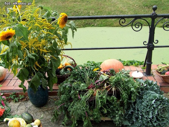 Na Polski imię, na Jej cześć podnosim czoła dumne. Święto Plonów w Oporowie