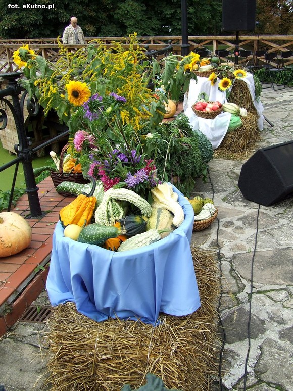Na Polski imię, na Jej cześć podnosim czoła dumne. Święto Plonów w Oporowie