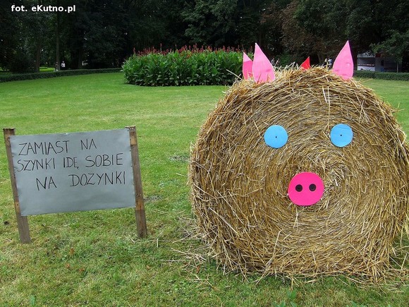 Na Polski imię, na Jej cześć podnosim czoła dumne. Święto Plonów w Oporowie