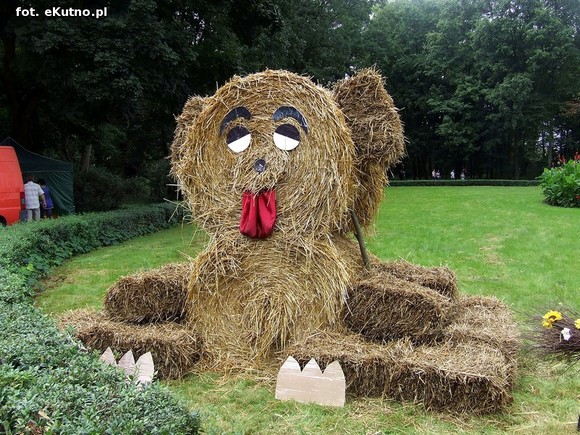 Na Polski imię, na Jej cześć podnosim czoła dumne. Święto Plonów w Oporowie