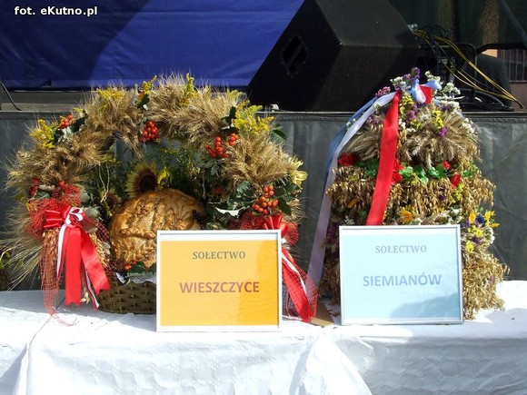 W Strzelcach piękne wieńce, regionalne delicje i dobra zabawa