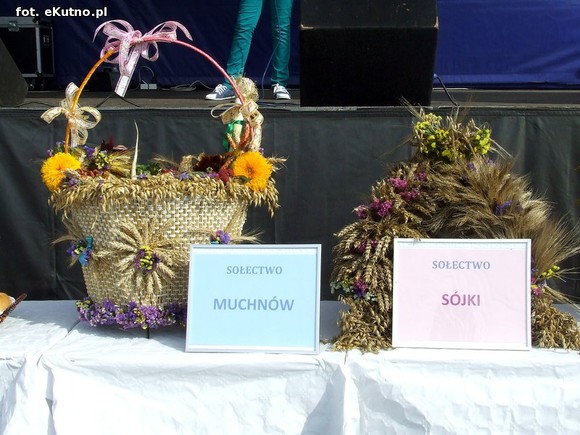 W Strzelcach piękne wieńce, regionalne delicje i dobra zabawa