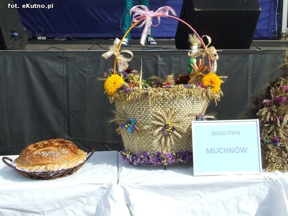 W Strzelcach piękne wieńce, regionalne delicje i dobra zabawa