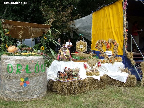 Nagroda dla wójta Kołacha, sprzęt rolniczy i zespoły śpiewacze. Dożynki w Bedlnie