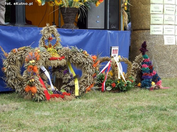 Nagroda dla wójta Kołacha, sprzęt rolniczy i zespoły śpiewacze. Dożynki w Bedlnie