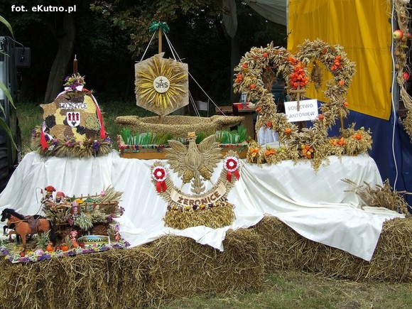 Nagroda dla wójta Kołacha, sprzęt rolniczy i zespoły śpiewacze. Dożynki w Bedlnie