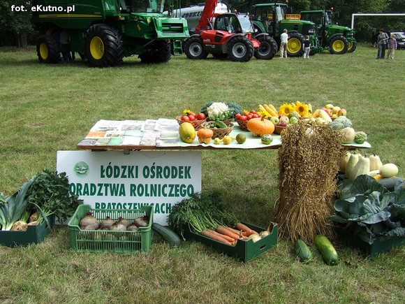 Nagroda dla wójta Kołacha, sprzęt rolniczy i zespoły śpiewacze. Dożynki w Bedlnie
