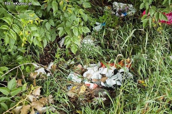 Odlot po acodinie i śmietnisko na Oziębłowskiego