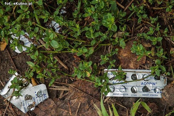 Odlot po acodinie i śmietnisko na Oziębłowskiego