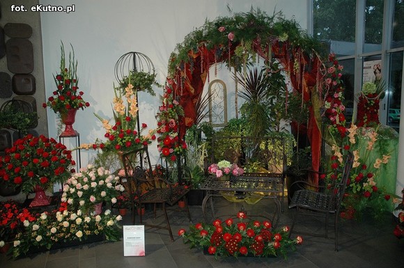 Święto Róży otwarte. Rubinowa rocznica domu kultury i florystyczne aranżacje małżeńskich godów