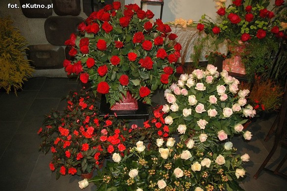 Święto Róży otwarte. Rubinowa rocznica domu kultury i florystyczne aranżacje małżeńskich godów