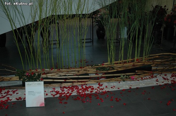 Święto Róży otwarte. Rubinowa rocznica domu kultury i florystyczne aranżacje małżeńskich godów