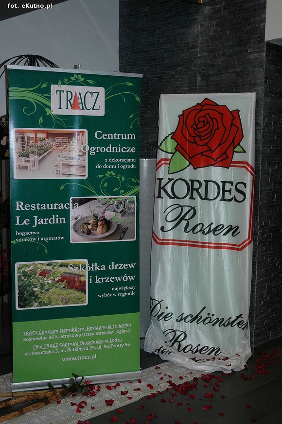 Święto Róży otwarte. Rubinowa rocznica domu kultury i florystyczne aranżacje małżeńskich godów