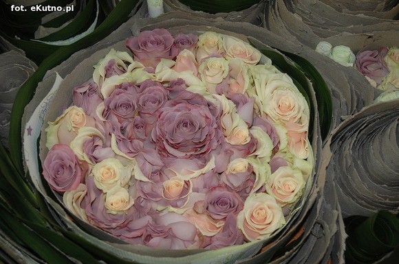 Święto Róży otwarte. Rubinowa rocznica domu kultury i florystyczne aranżacje małżeńskich godów