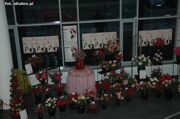 Święto Róży otwarte. Rubinowa rocznica domu kultury i florystyczne aranżacje małżeńskich godów