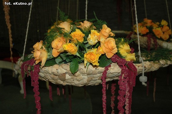 Święto Róży otwarte. Rubinowa rocznica domu kultury i florystyczne aranżacje małżeńskich godów