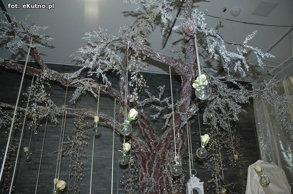 Święto Róży otwarte. Rubinowa rocznica domu kultury i florystyczne aranżacje małżeńskich godów