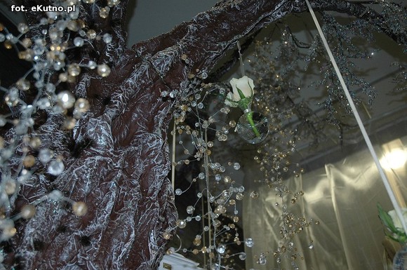 Święto Róży otwarte. Rubinowa rocznica domu kultury i florystyczne aranżacje małżeńskich godów