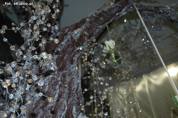 Święto Róży otwarte. Rubinowa rocznica domu kultury i florystyczne aranżacje małżeńskich godów